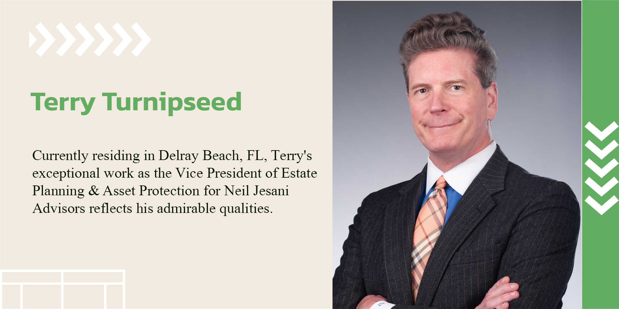 Portfolio Terry Turnipseed